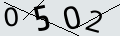 verifycode